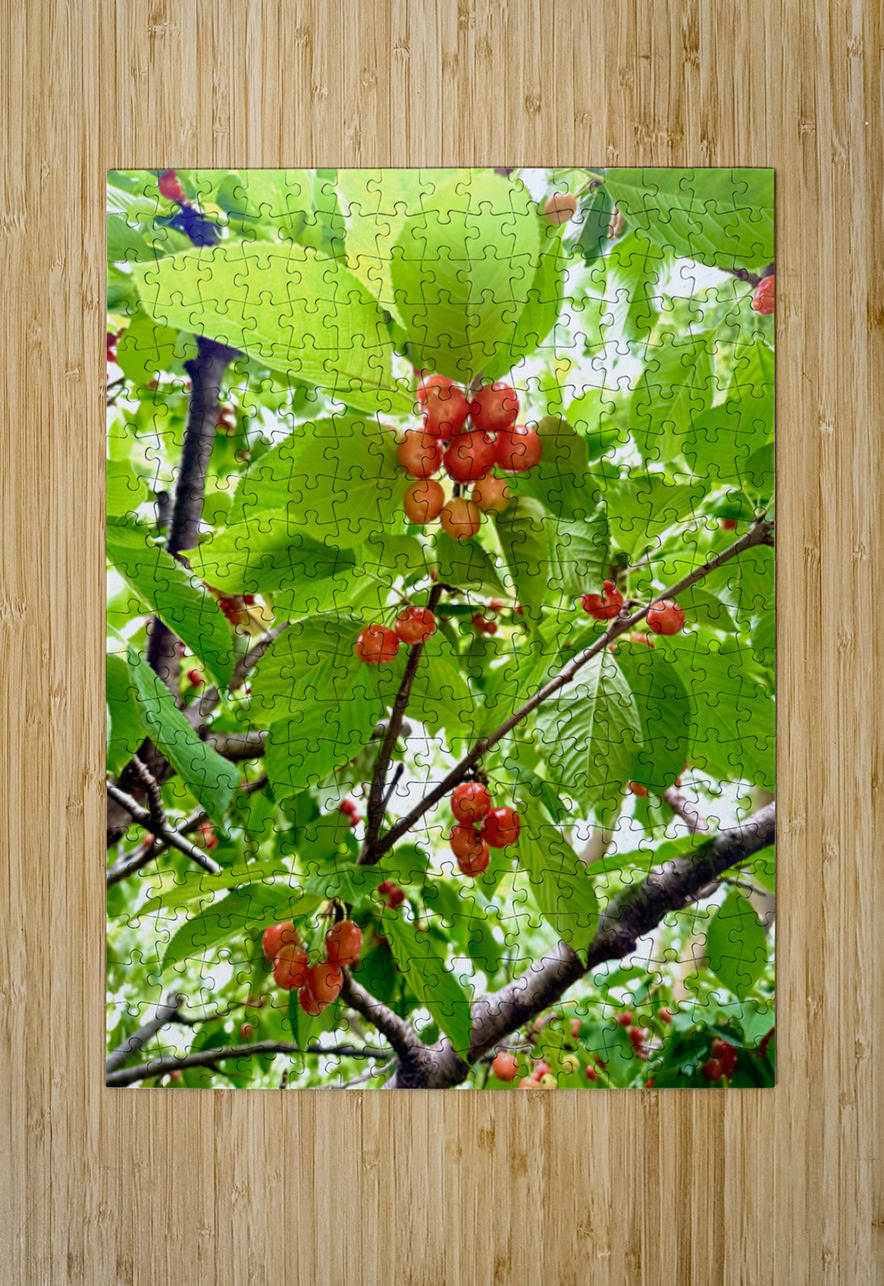The Humble Crown of the Orchard Queen Click4Pix Puzzle printing