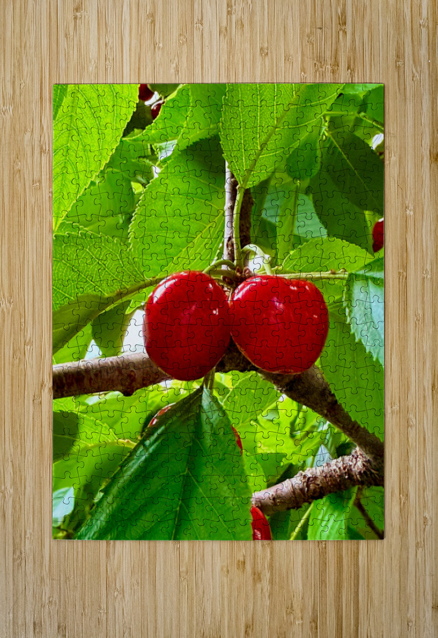 Twin Suns on the Orchard Axis Click4Pix Puzzle printing