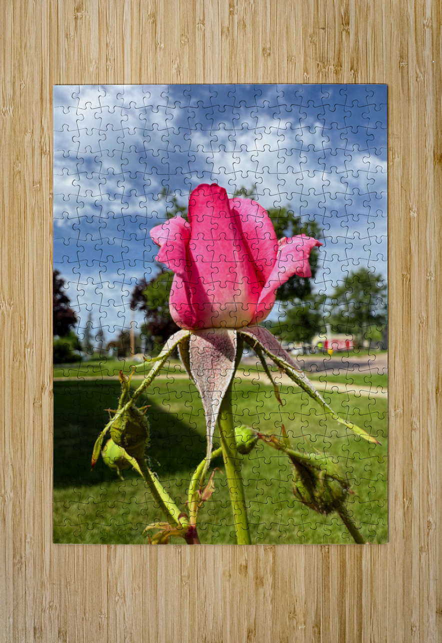 Unspoken Flame of the Garden’s Soul Click4Pix Puzzle printing