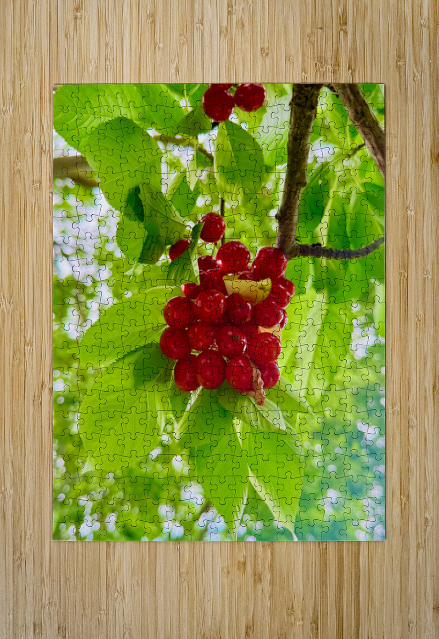 The Patience of Fruit: A Quiet Celebration Click4Pix Puzzle printing