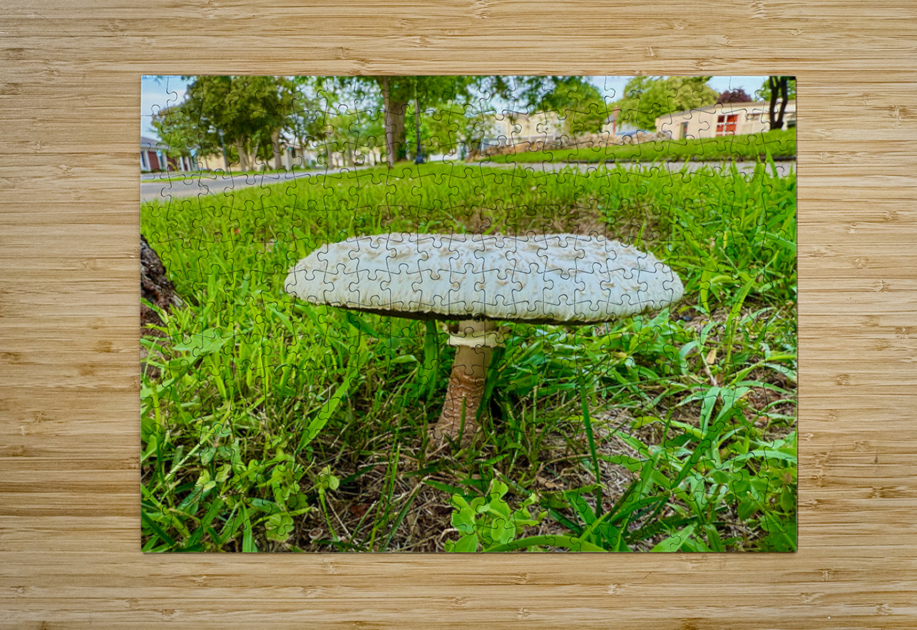 Capstone of the Lawn Click4Pix Puzzle printing