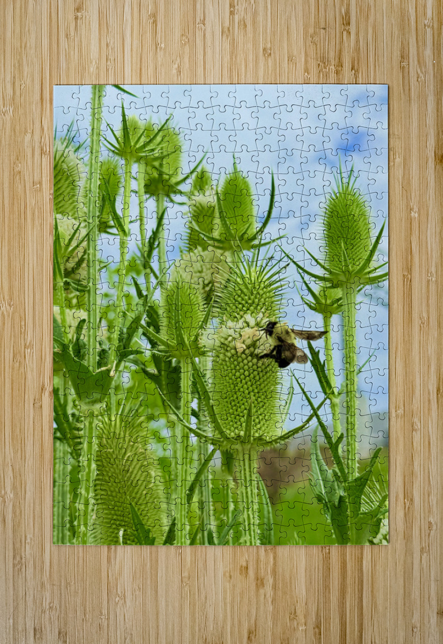 The Reach of Teasel Click4Pix Puzzle printing