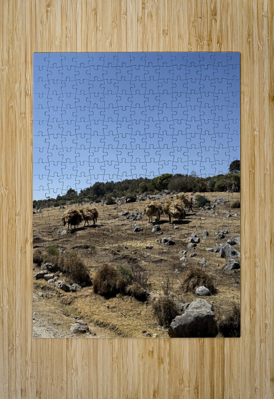 IMG 9563 Click4Pix Puzzle printing