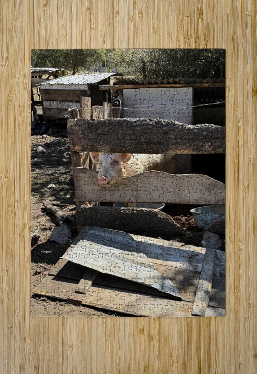 IMG 9518 Click4Pix Puzzle printing