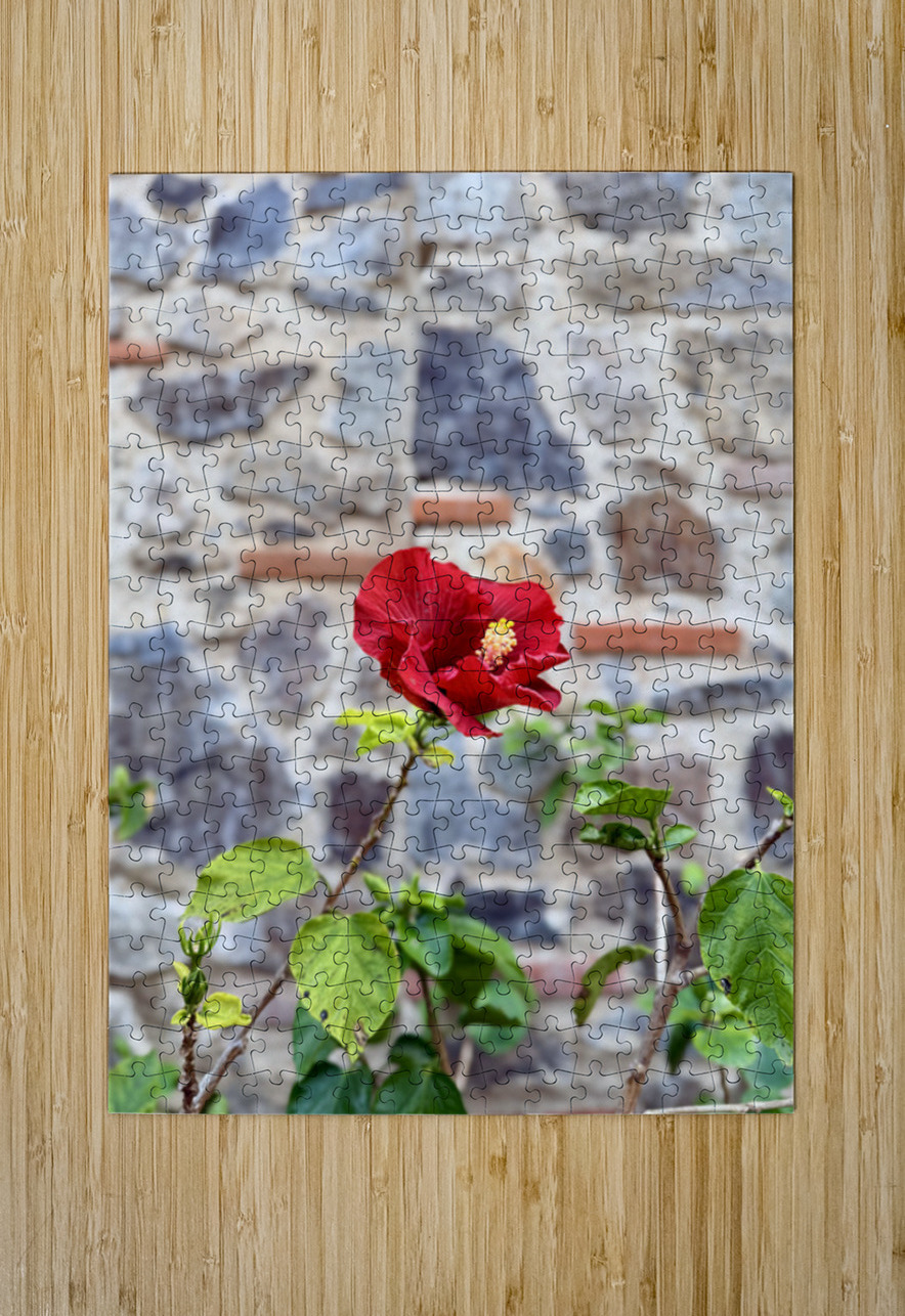 IMG 9956 Click4Pix Puzzle printing