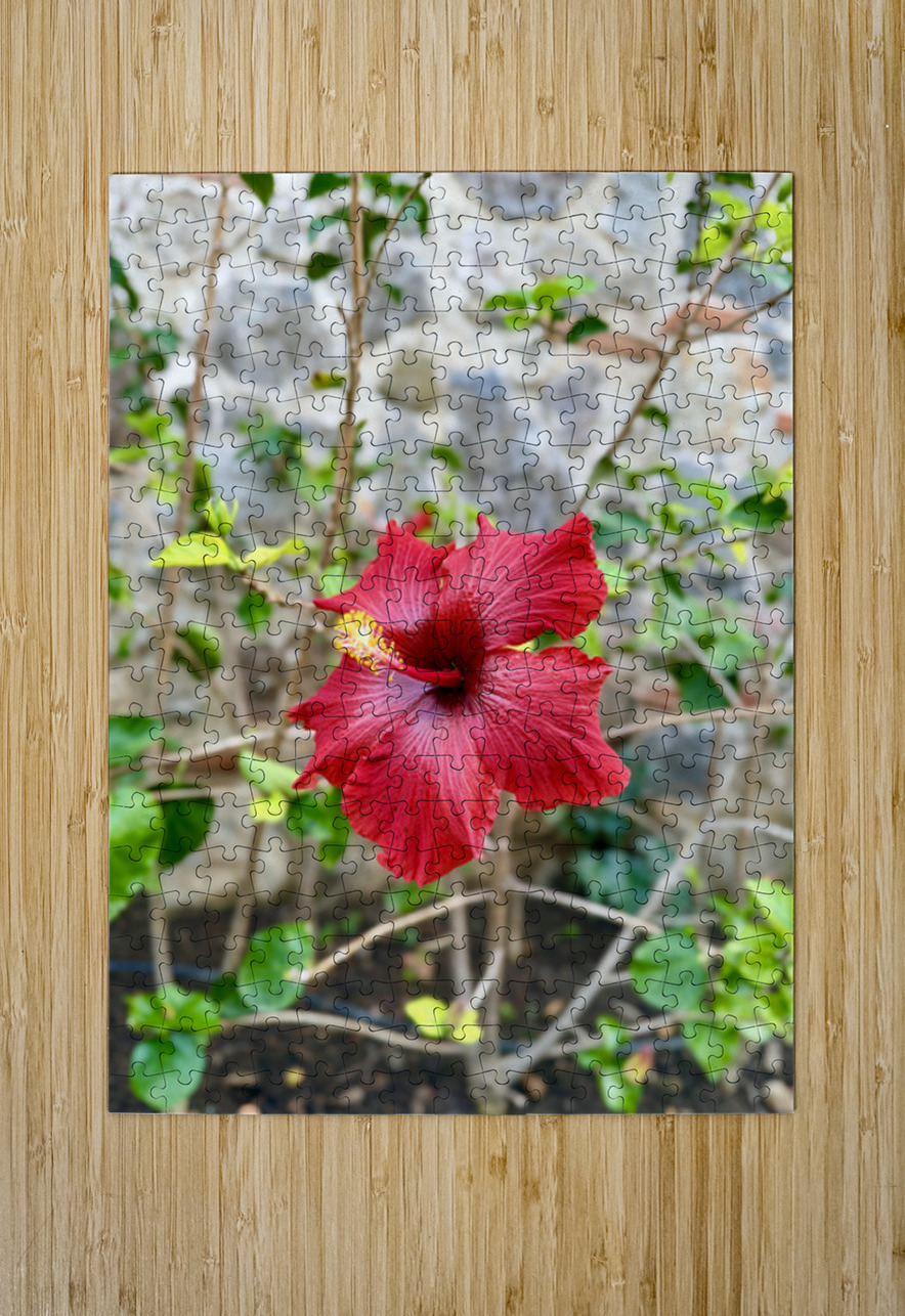 IMG 9955 Click4Pix Puzzle printing