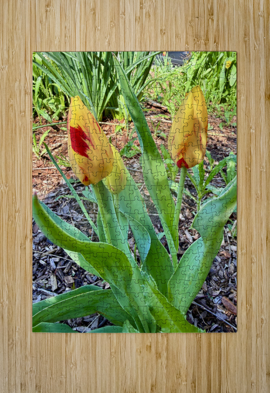 IMG 1613 Click4Pix Puzzle printing