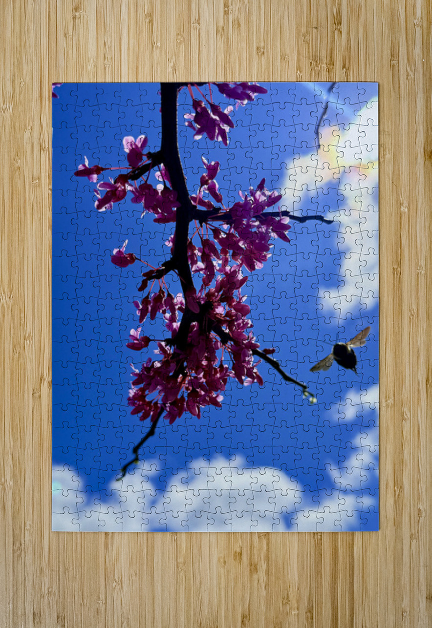 Blossom & Wing Click4Pix Puzzle printing
