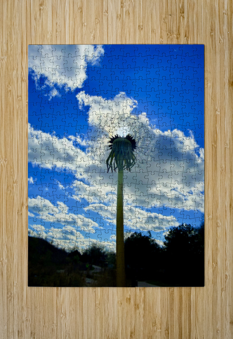 Simply Dandelion Click4Pix Puzzle printing