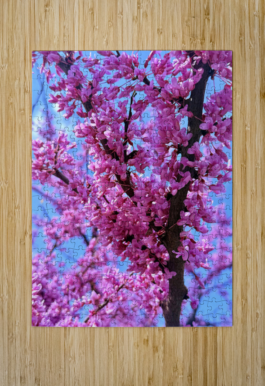 Redbud Riot Click4Pix Puzzle printing