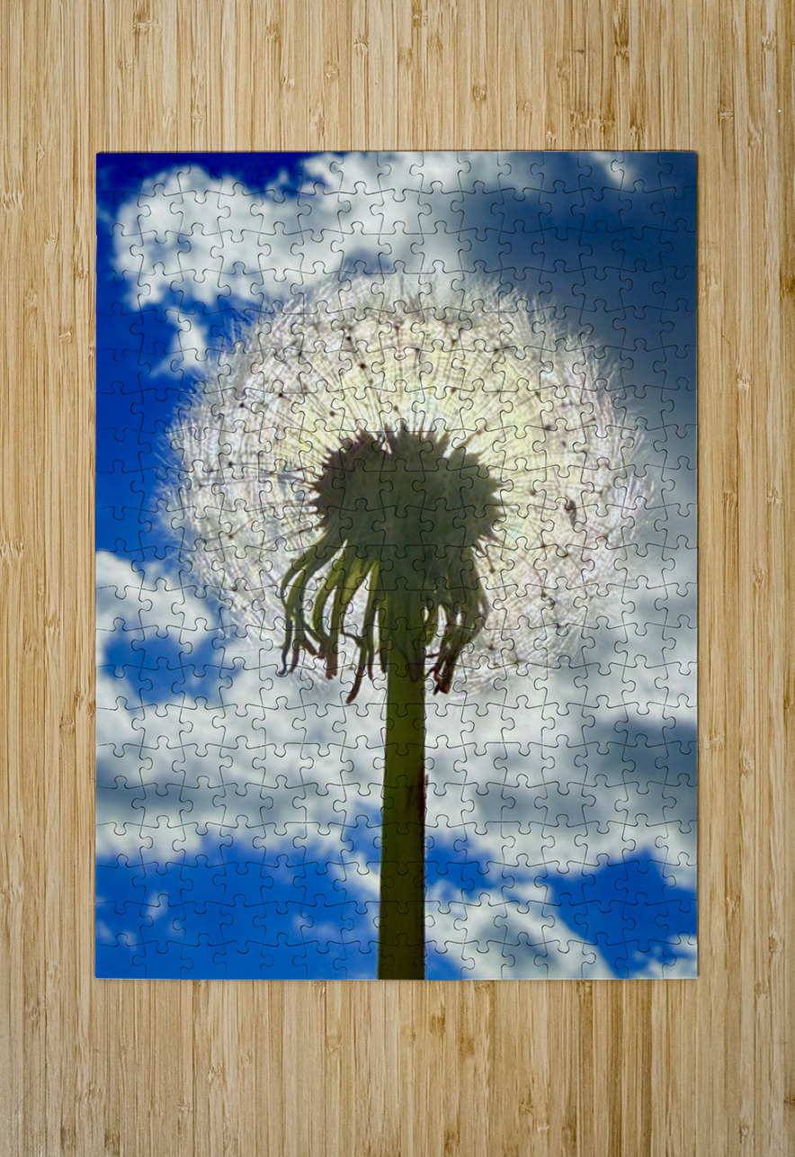 Skybound Dandelion Click4Pix Puzzle printing