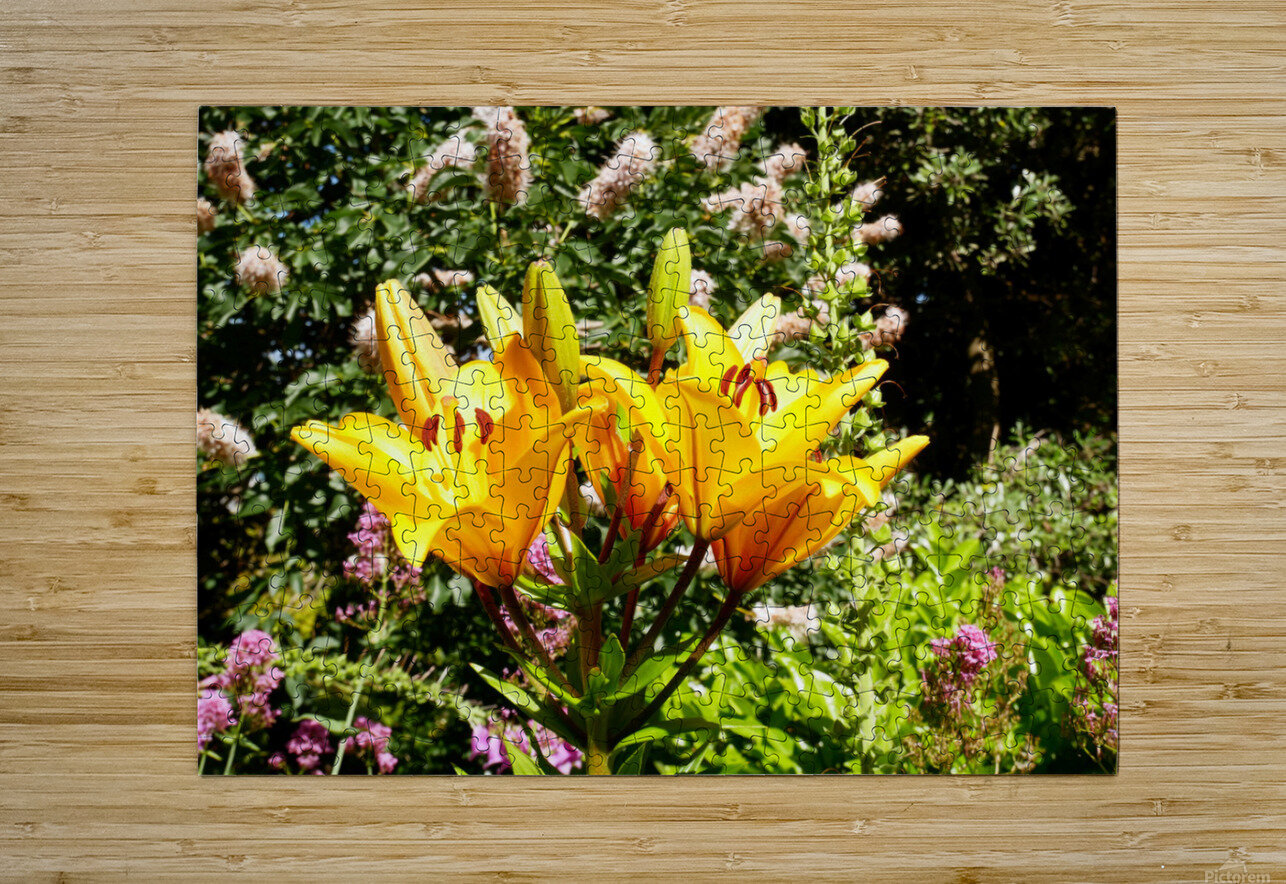 Bursting Beauty 2 Click4Pix Puzzle printing