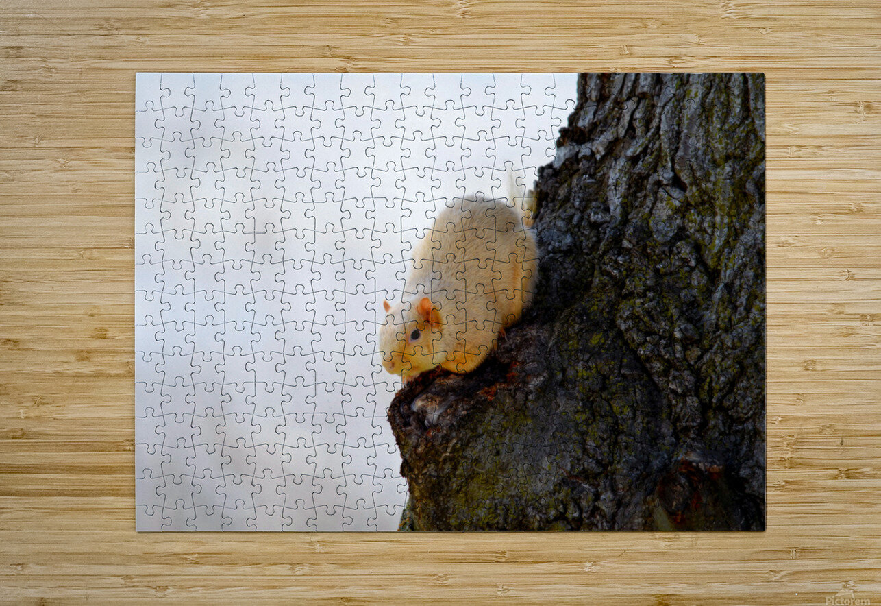 A Blonde Squirrel Moment Click4Pix Puzzle printing