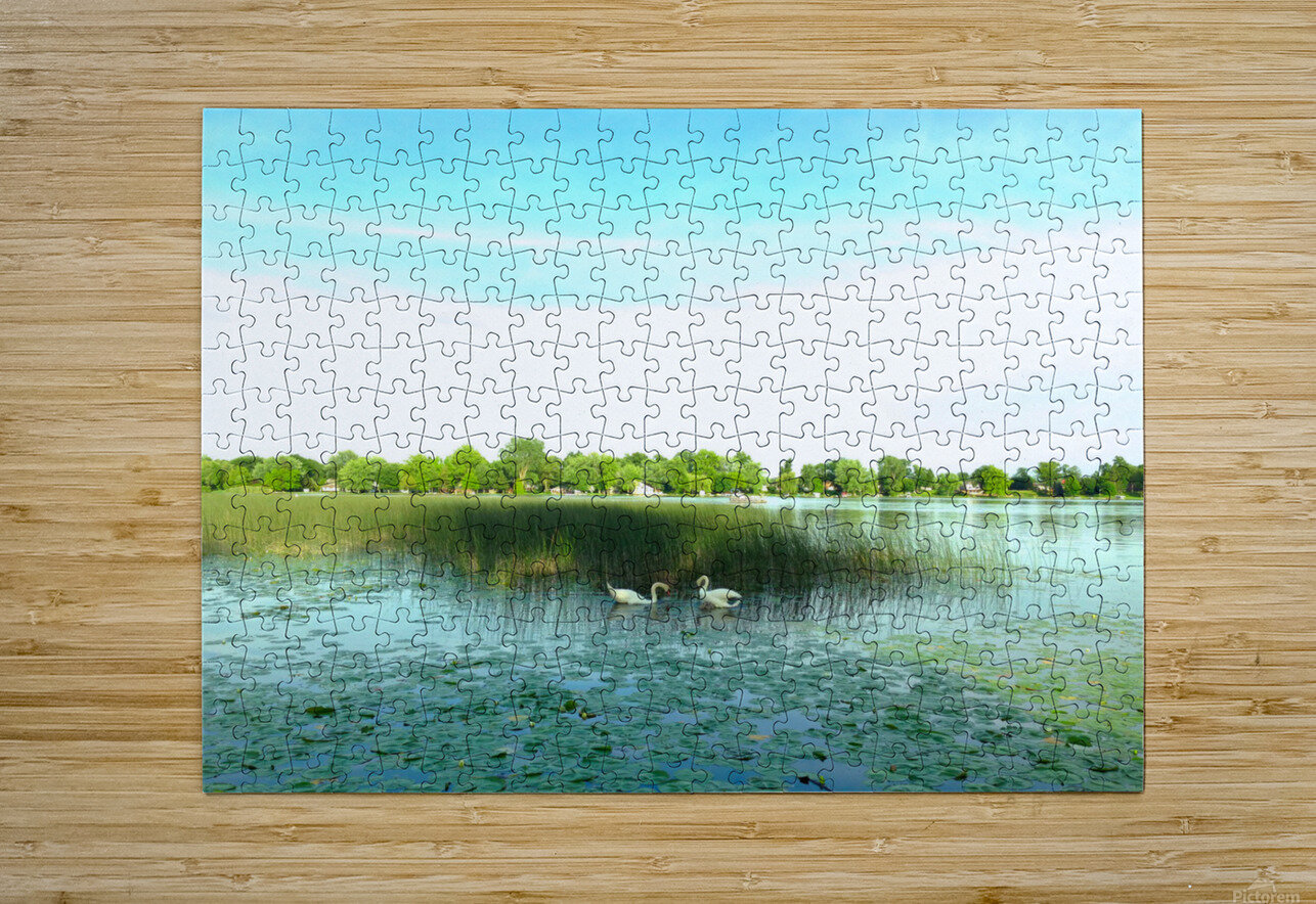 MI Swan Lake 2 Click4Pix Puzzle printing