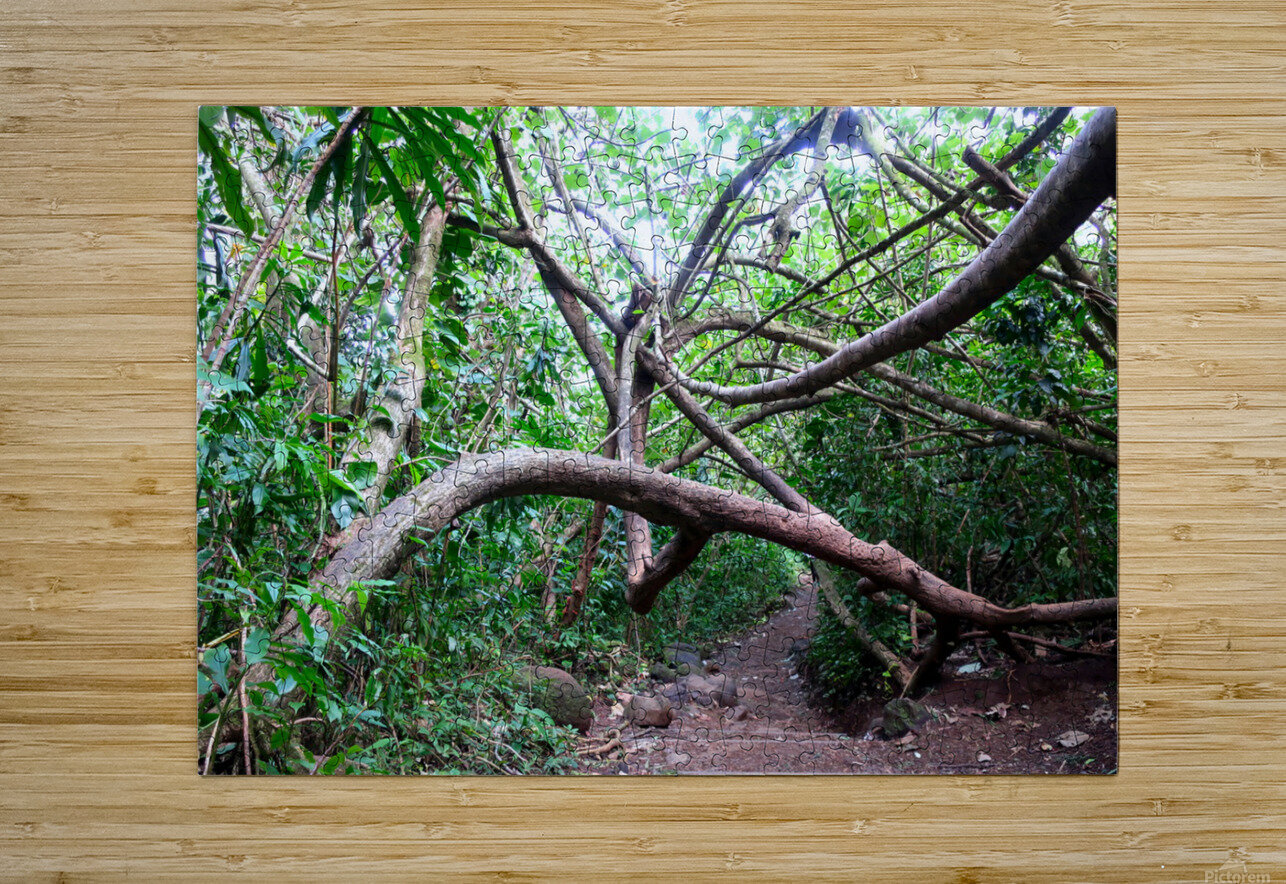 Branches of Life Click4Pix Puzzle printing