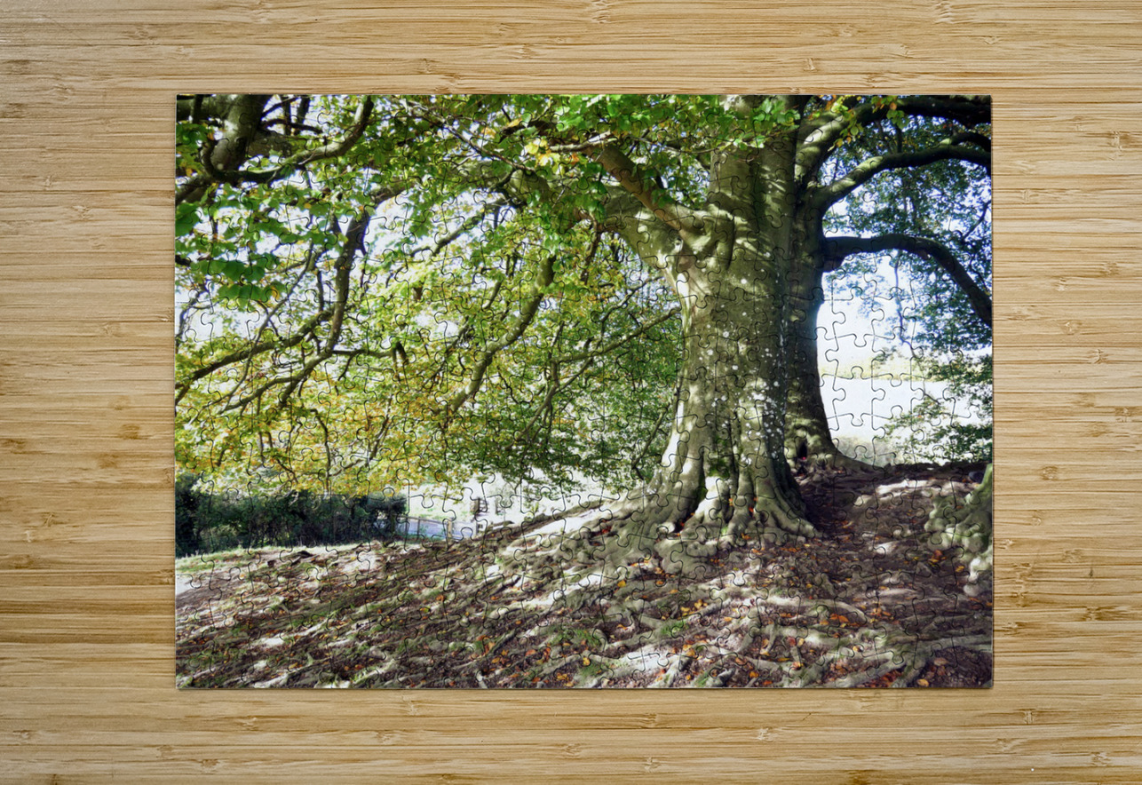 Rooted in Strength Click4Pix Puzzle printing