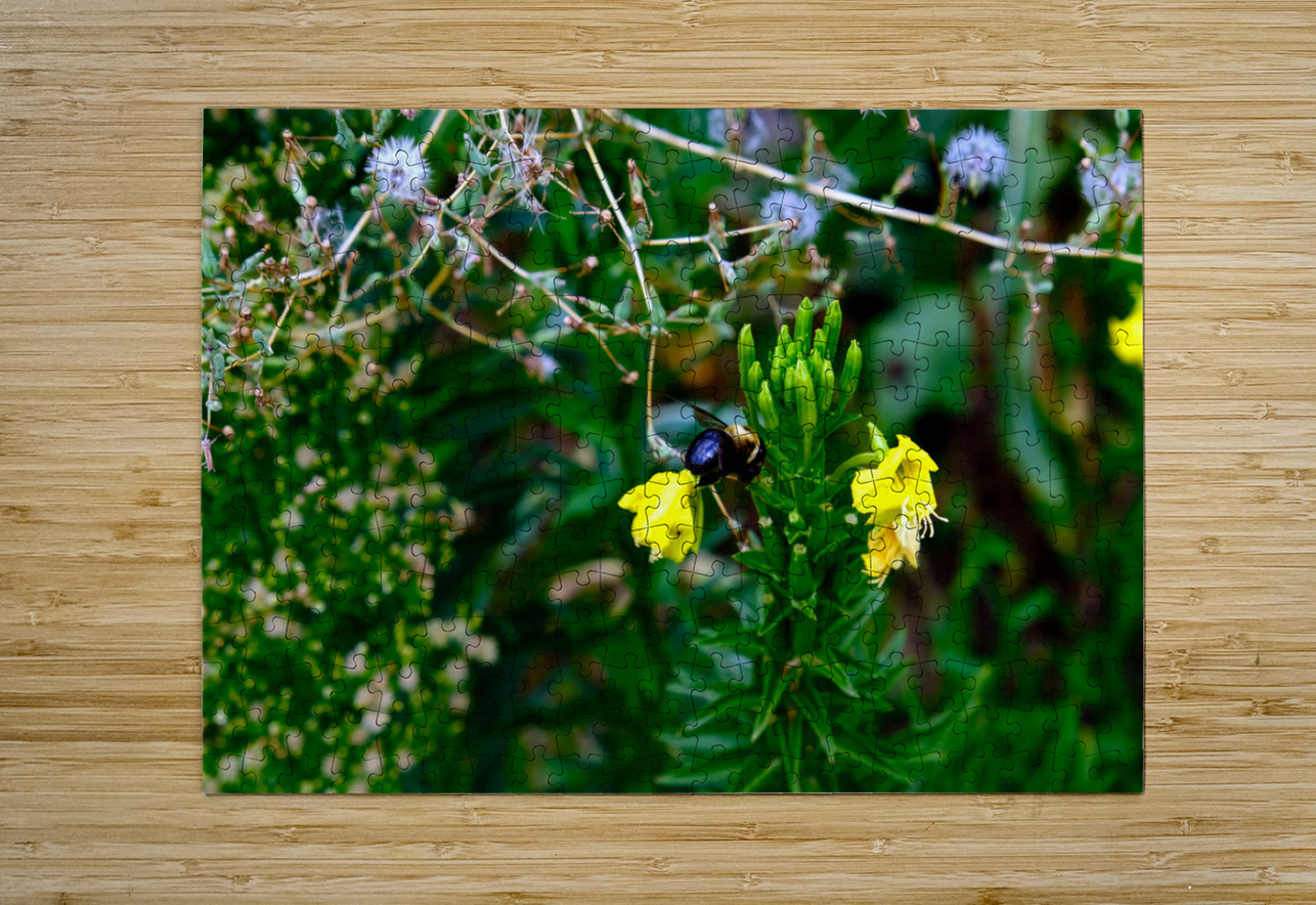 To Bee or Not to Bee  -- Kiss My Shiny Bumble Butt Click4Pix Puzzle printing