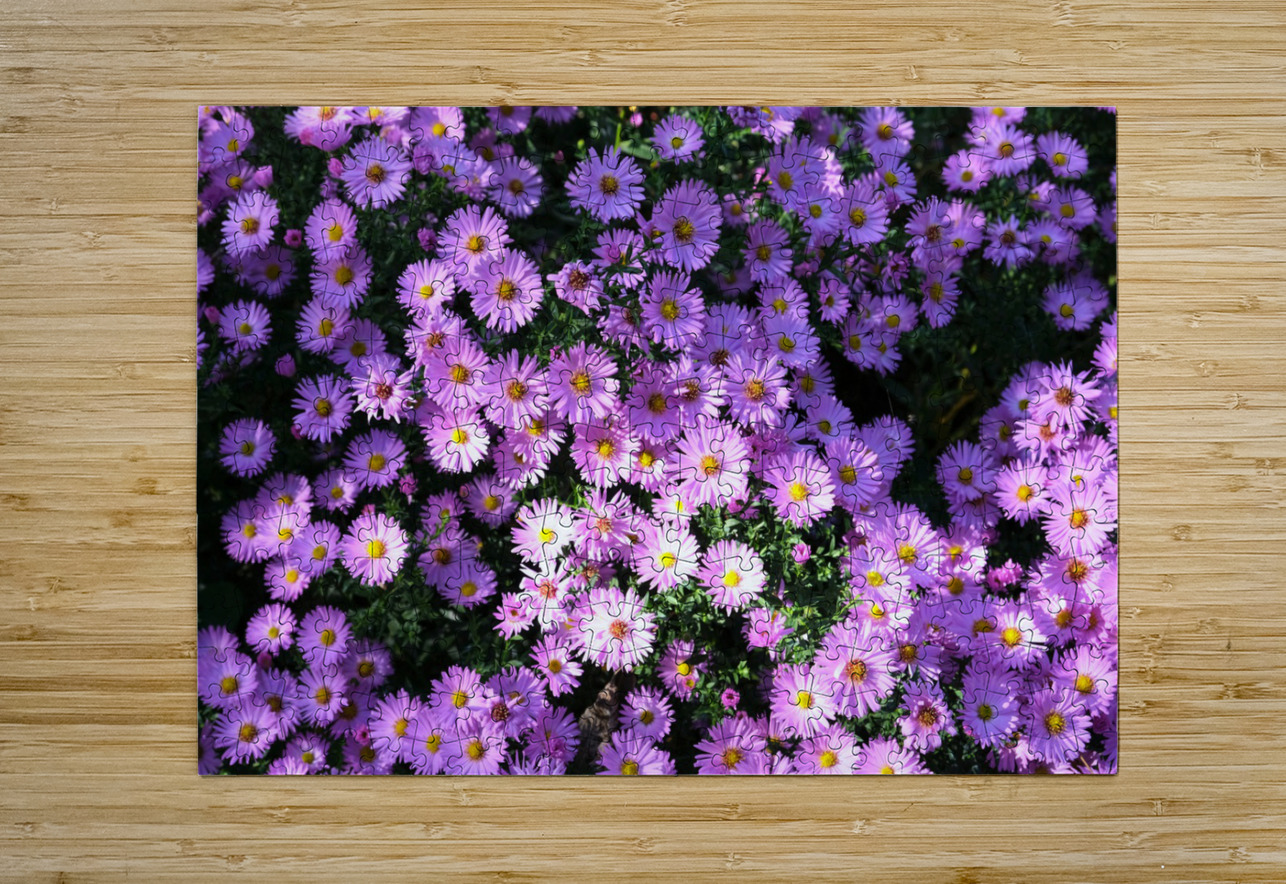 Pink Daisies 2 Click4Pix Puzzle printing