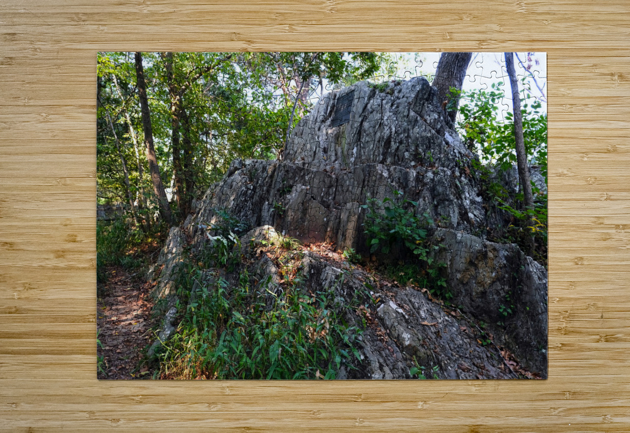 Just Rocking Life  Click4Pix Puzzle printing