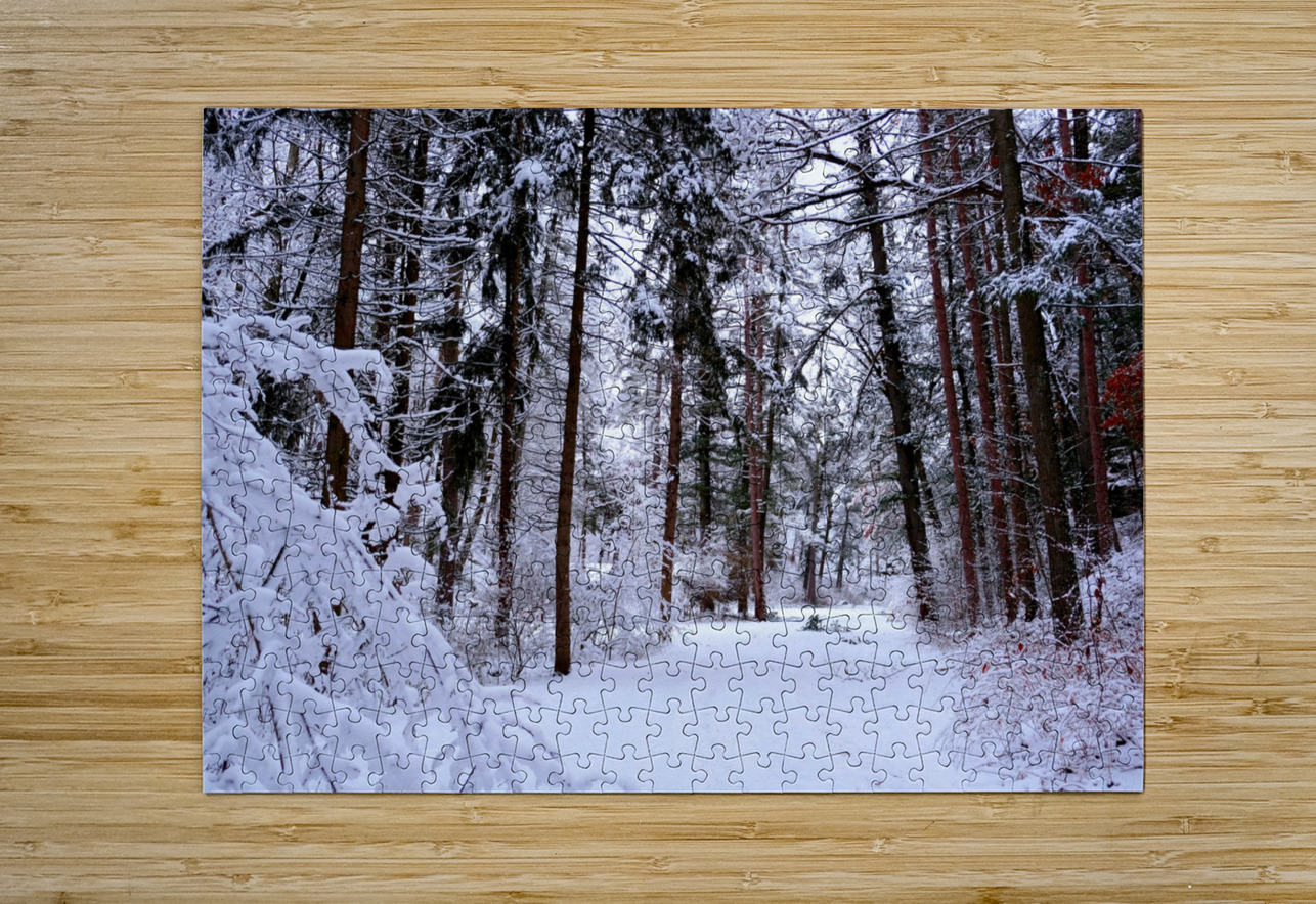 Winterscape Click4Pix Puzzle printing
