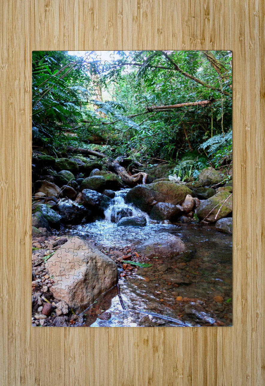 Hiking Hawaii Water Flow Click4Pix Puzzle printing