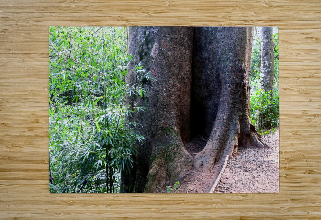 Got Stumped  Click4Pix Puzzle printing