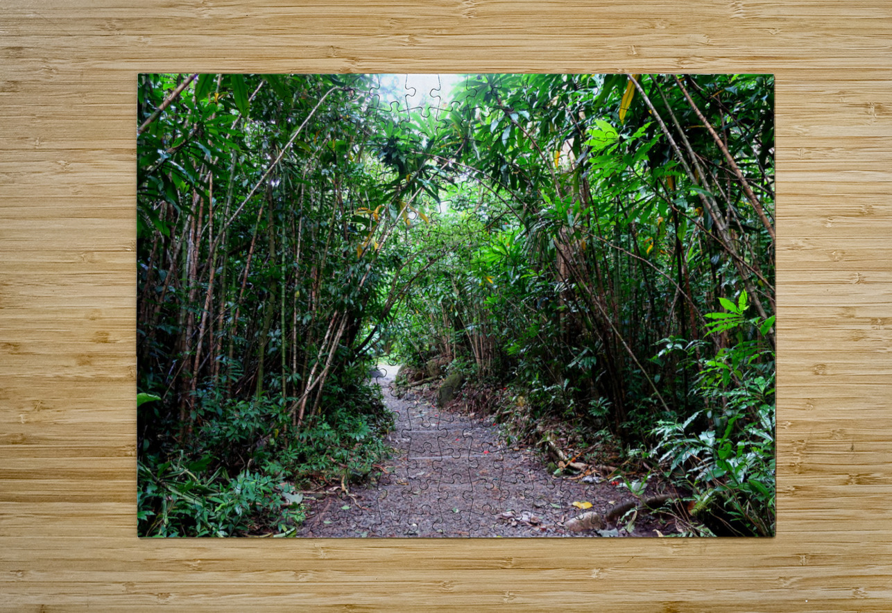 Hiking Hawaii Click4Pix Puzzle printing