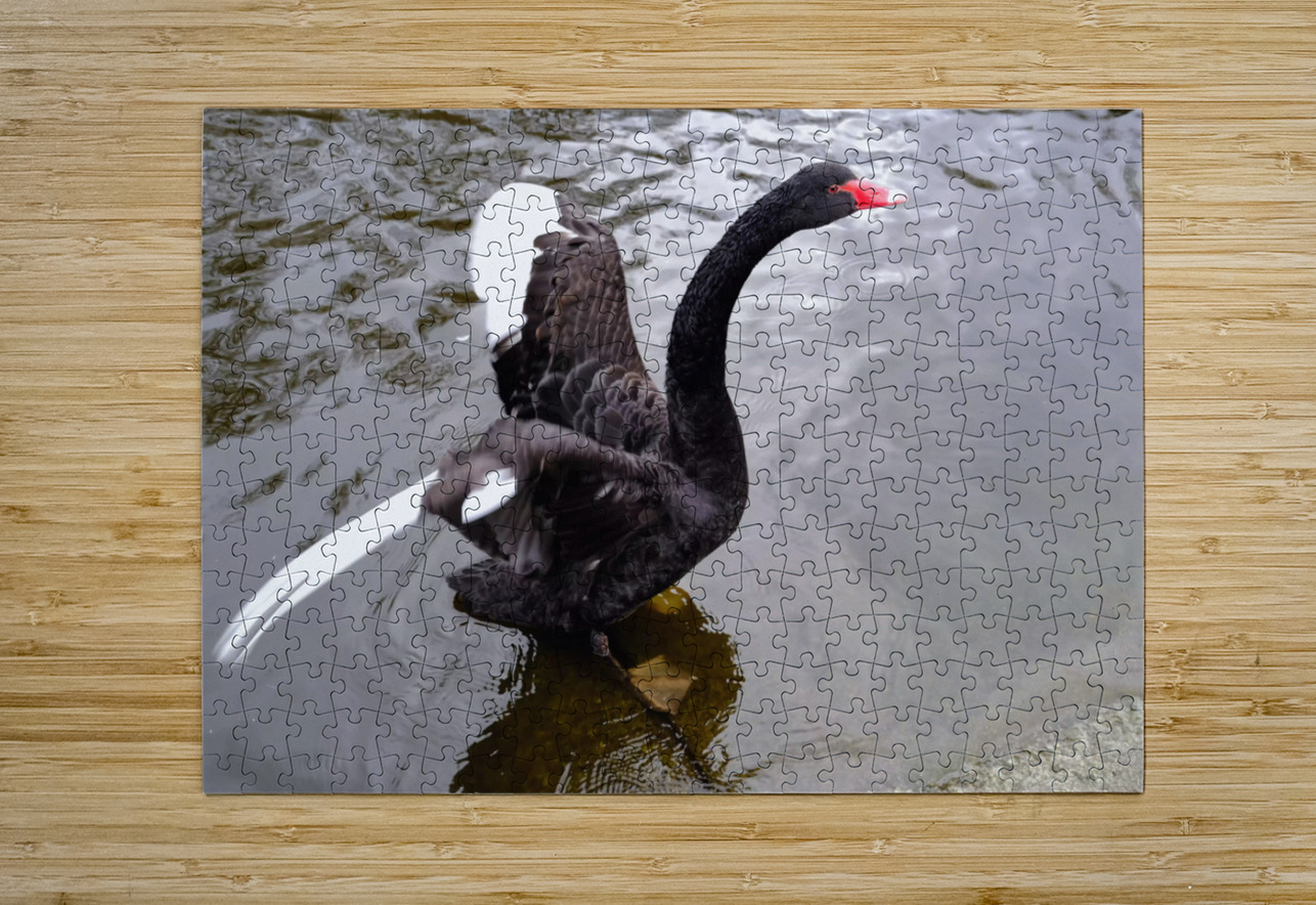 A Black Swan Moment 2 Click4Pix Puzzle printing