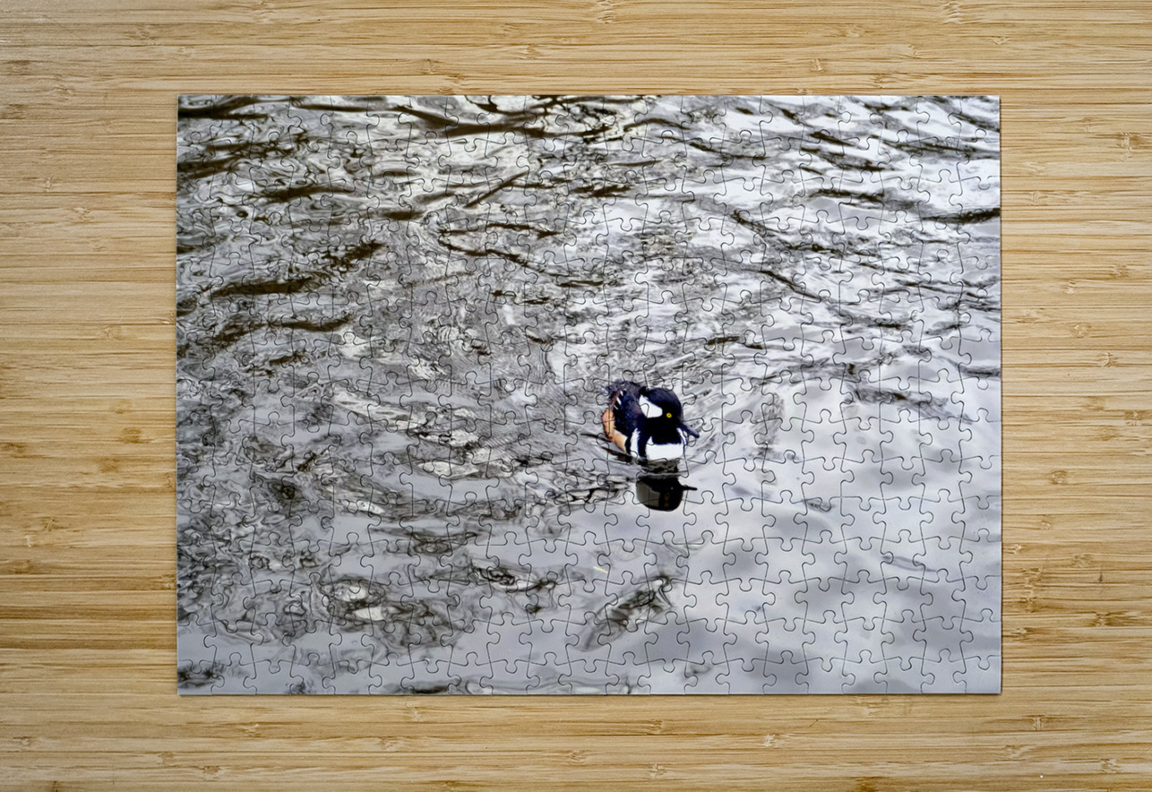 Only The Lonely Loon 1B Click4Pix Puzzle printing