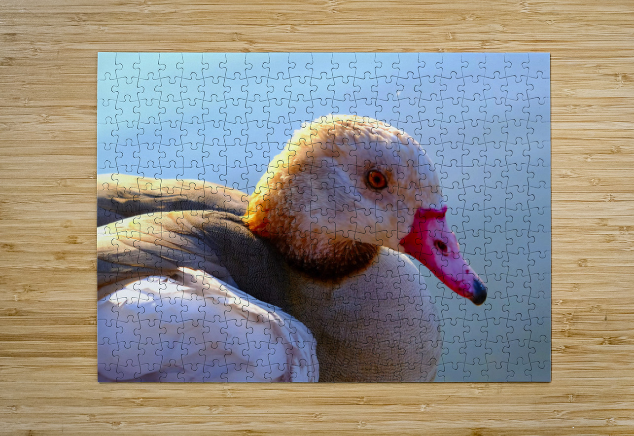 Duck Face 1B Click4Pix Puzzle printing