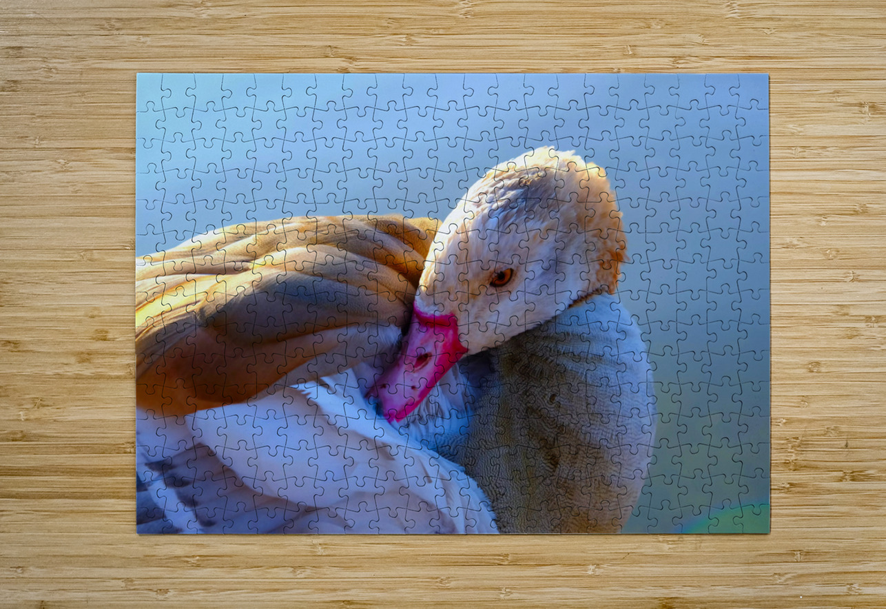 Got My Eye On You Duck Click4Pix Puzzle printing