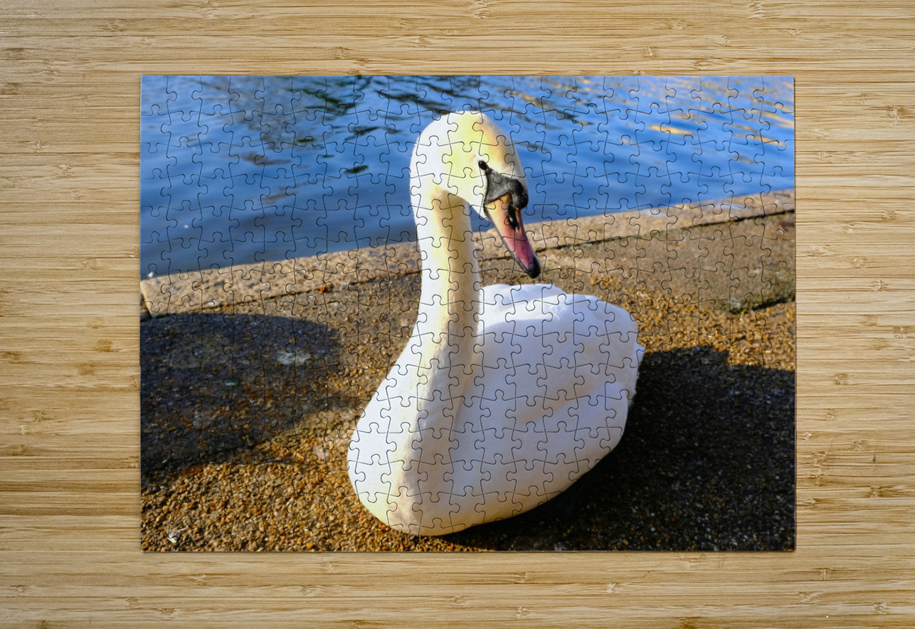 Lake’s Guardian Click4Pix Puzzle printing
