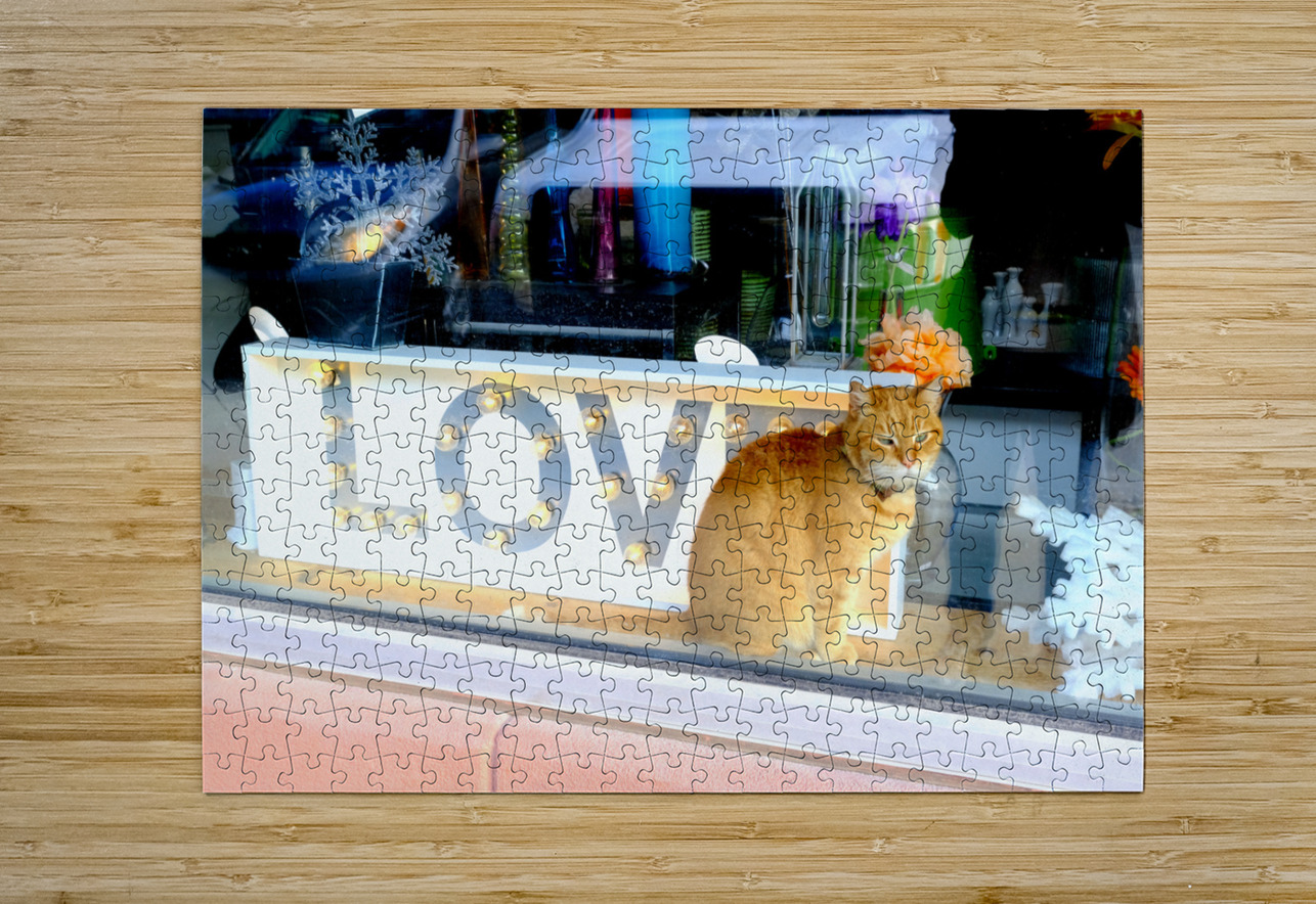 Window Watcher Click4Pix Puzzle printing