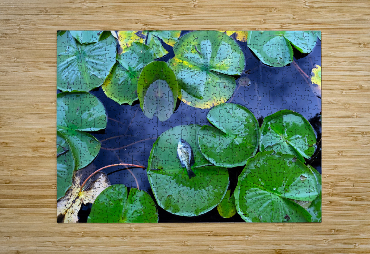 Resting Above the Depths Click4Pix Puzzle printing