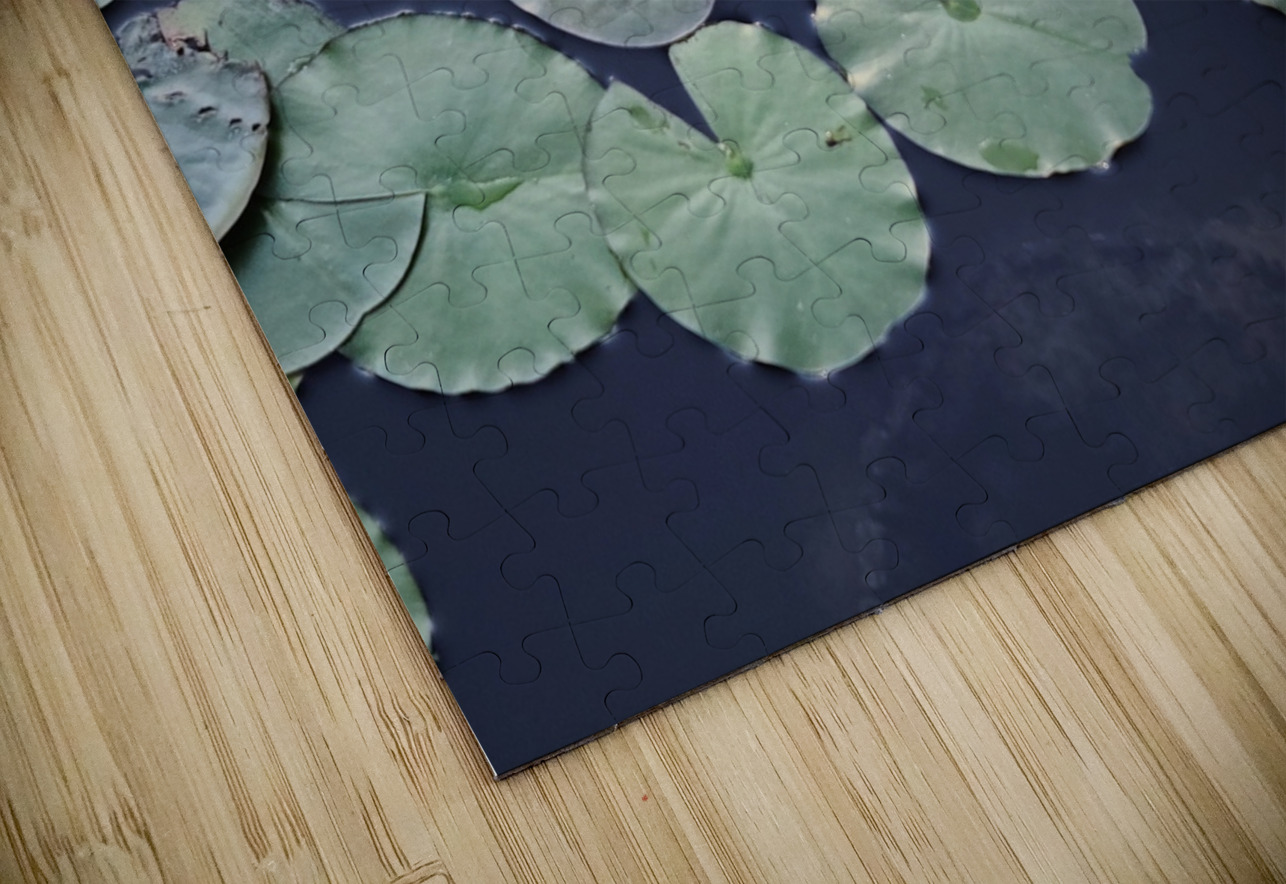 Stillwater Bloom Click4Pix Puzzle