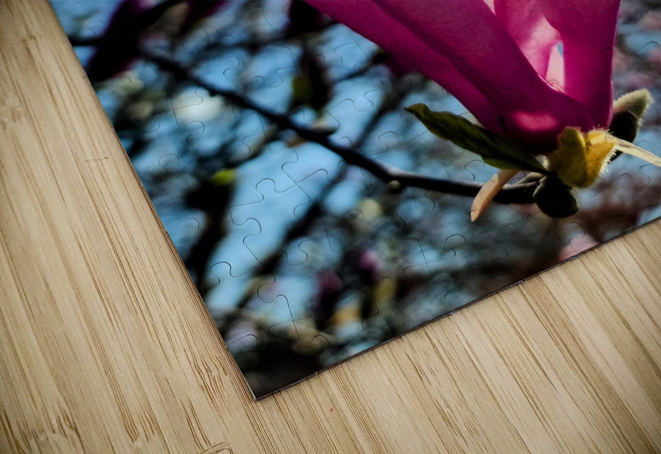 Petals Reflecting a Quiet Morning Click4Pix Puzzle