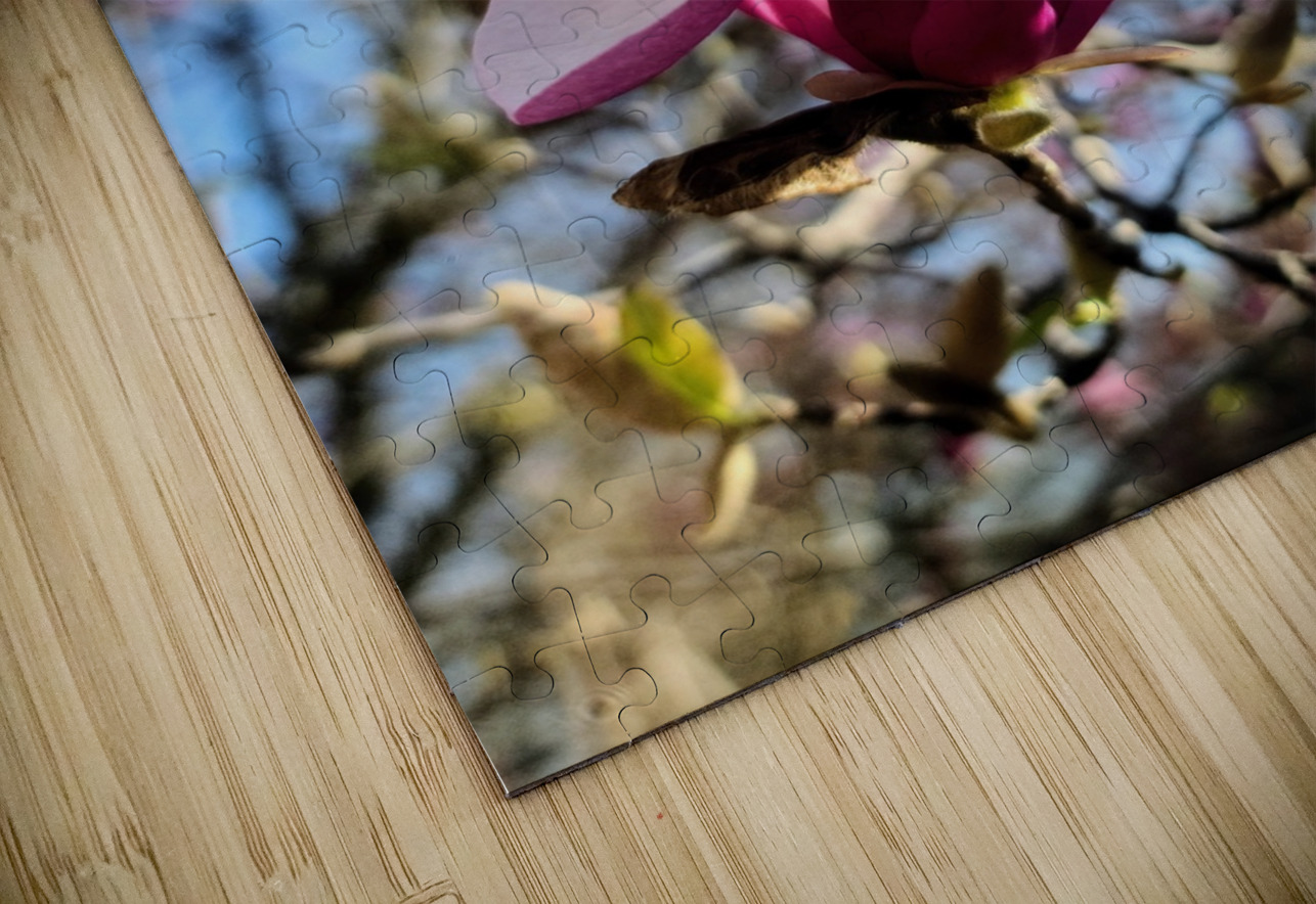 The Velvet Moment Between Bud and Bloom Click4Pix Puzzle