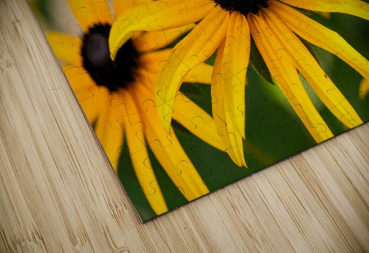 Bee A Black-Eyed Susan Secret Guest Click4Pix Puzzle