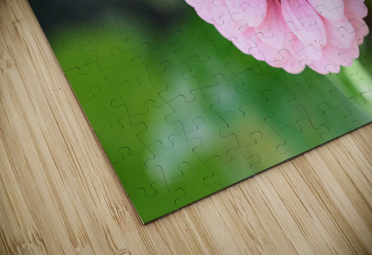 Pretty in Pink Zinnia:  Soft Celestial from Earth’s Garden Click4Pix Puzzle