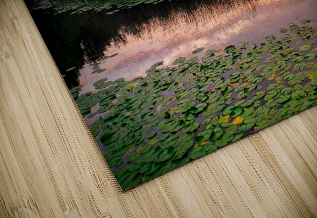 Over Lilyglass Waters: A Dawn Reawakens Click4Pix Puzzle