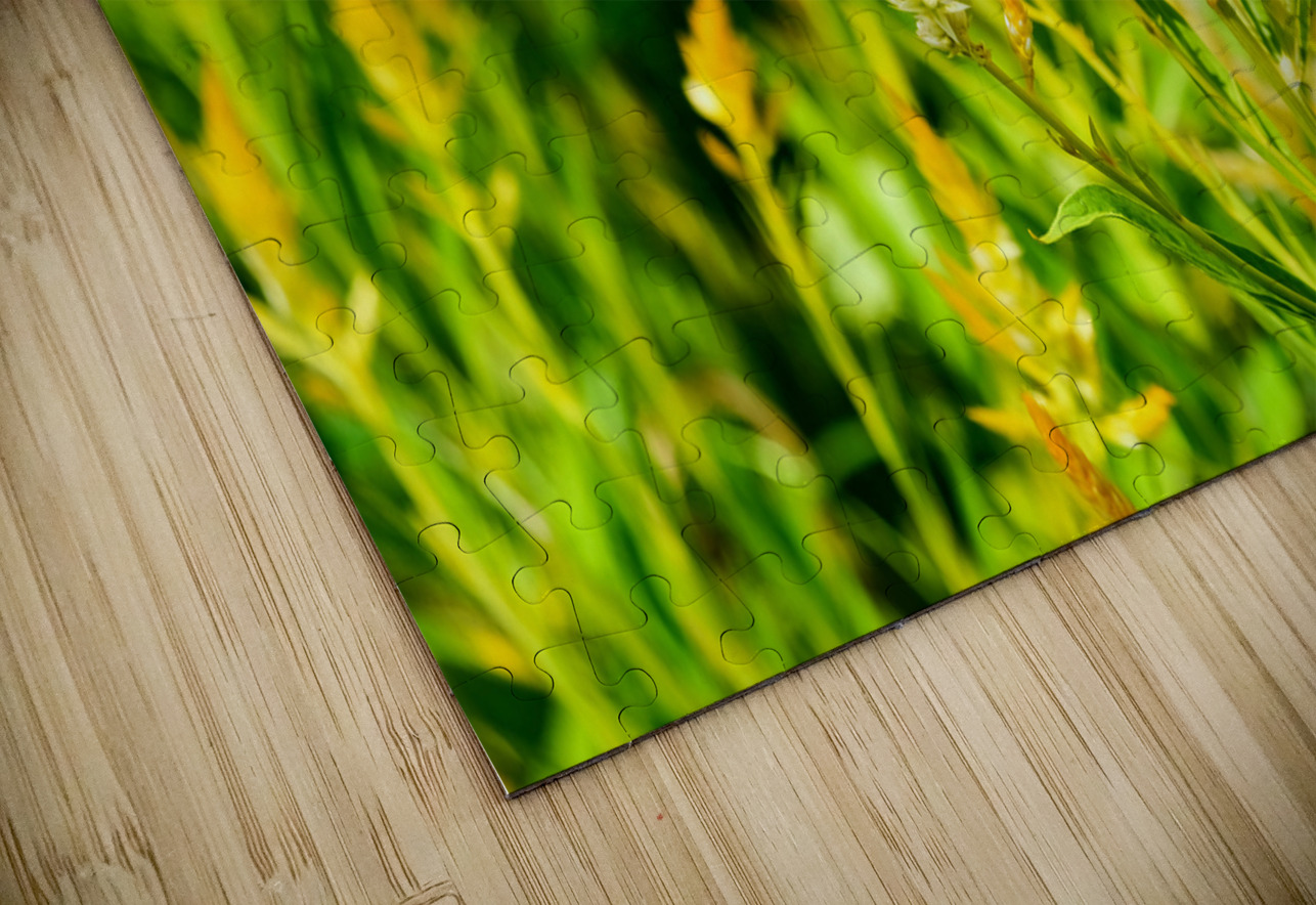 Yellow Wool Flower: Fields of Fire and Flight Click4Pix Puzzle