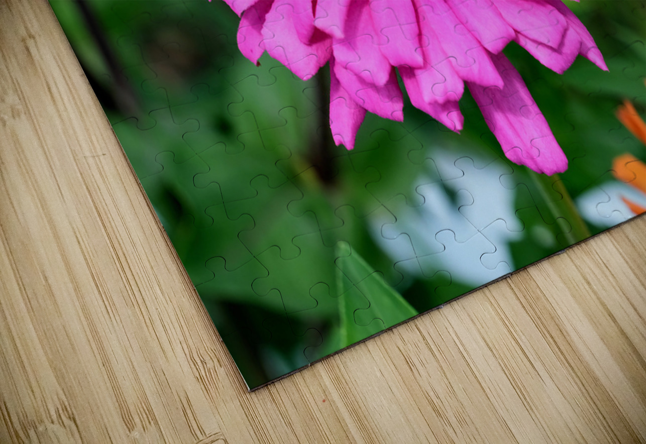 Buzzing Secrets of a Summer Queen Click4Pix Puzzle