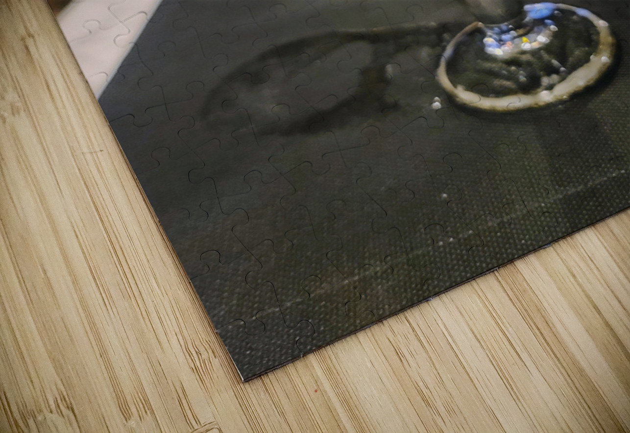 Amber Pause in a Barcelona Pulse Click4Pix Puzzle