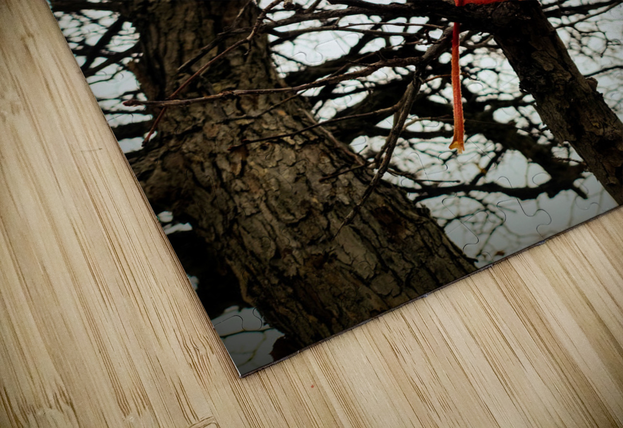 A Fallen Farewell: One Last Note Click4Pix Puzzle