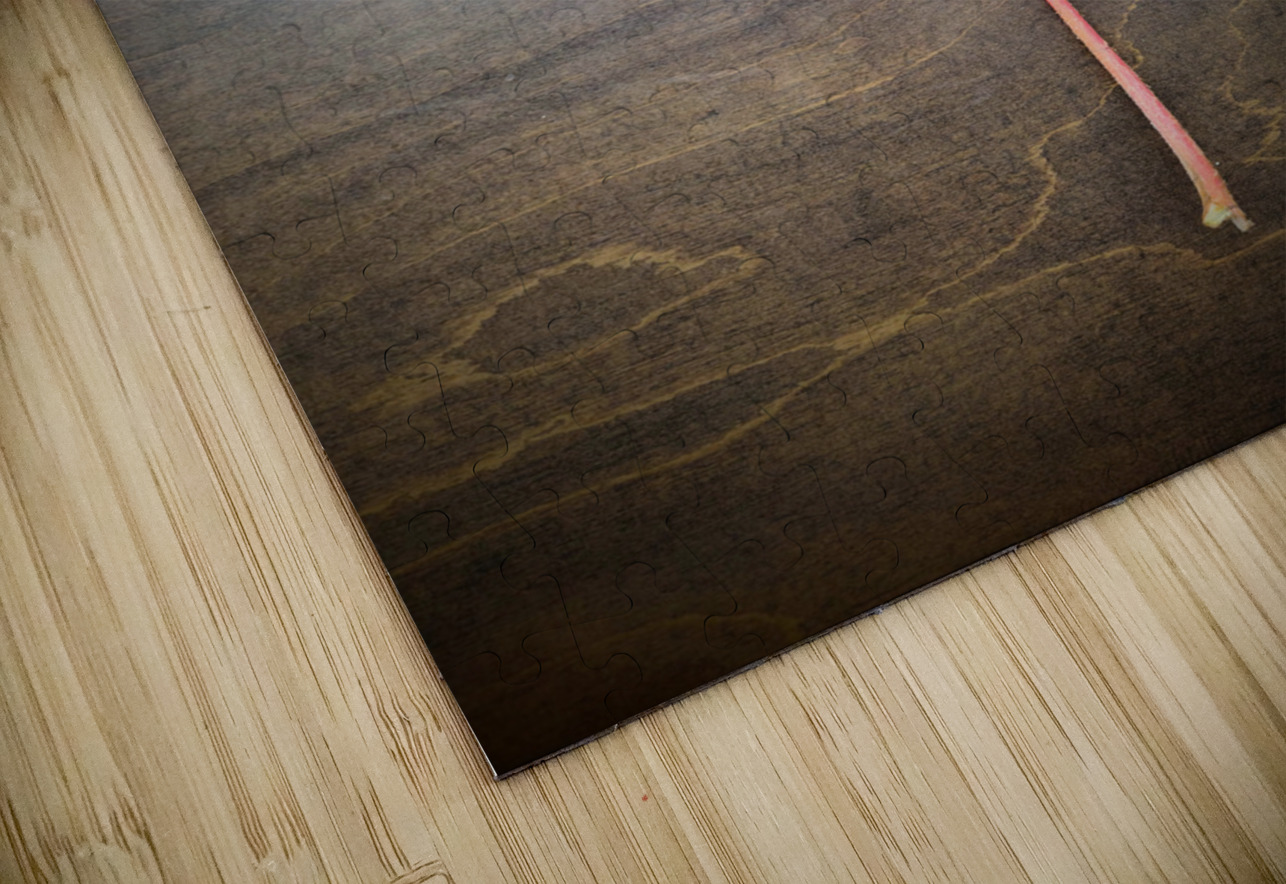 Losing Sight of Fall Click4Pix Puzzle