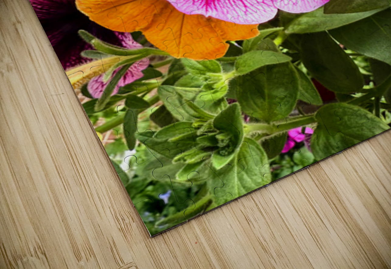 Whispers in Bloom – Petunia Poetry Click4Pix Puzzle