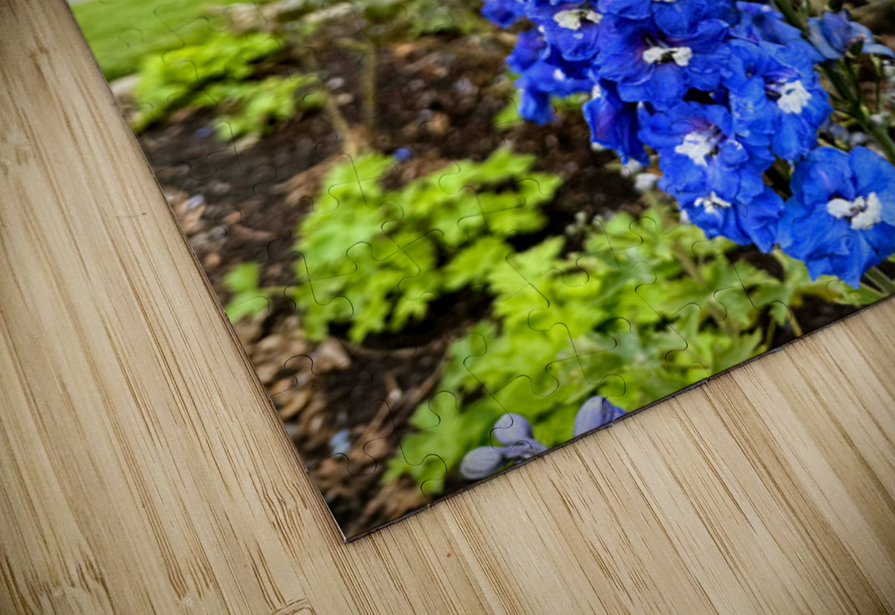 Larkspur: Midnight Choir of the Garden Realm Click4Pix Puzzle