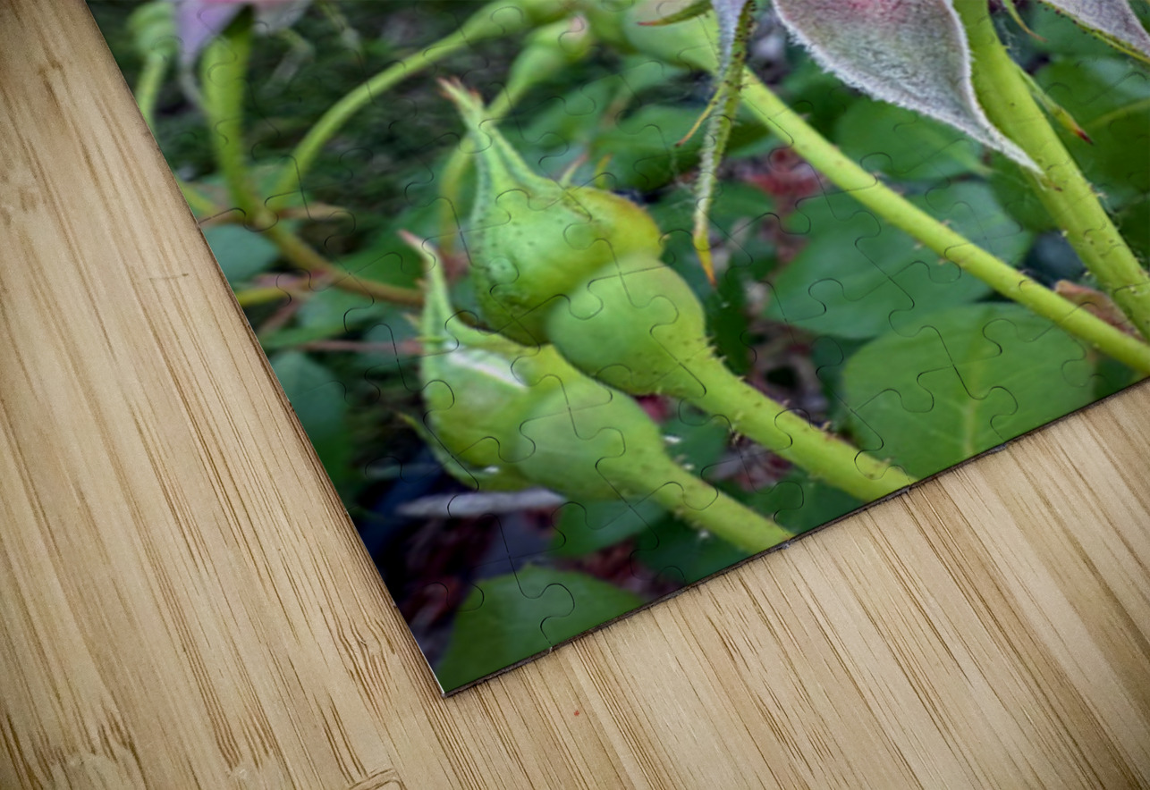 Velvet Guard of the Gardens Heart Click4Pix Puzzle