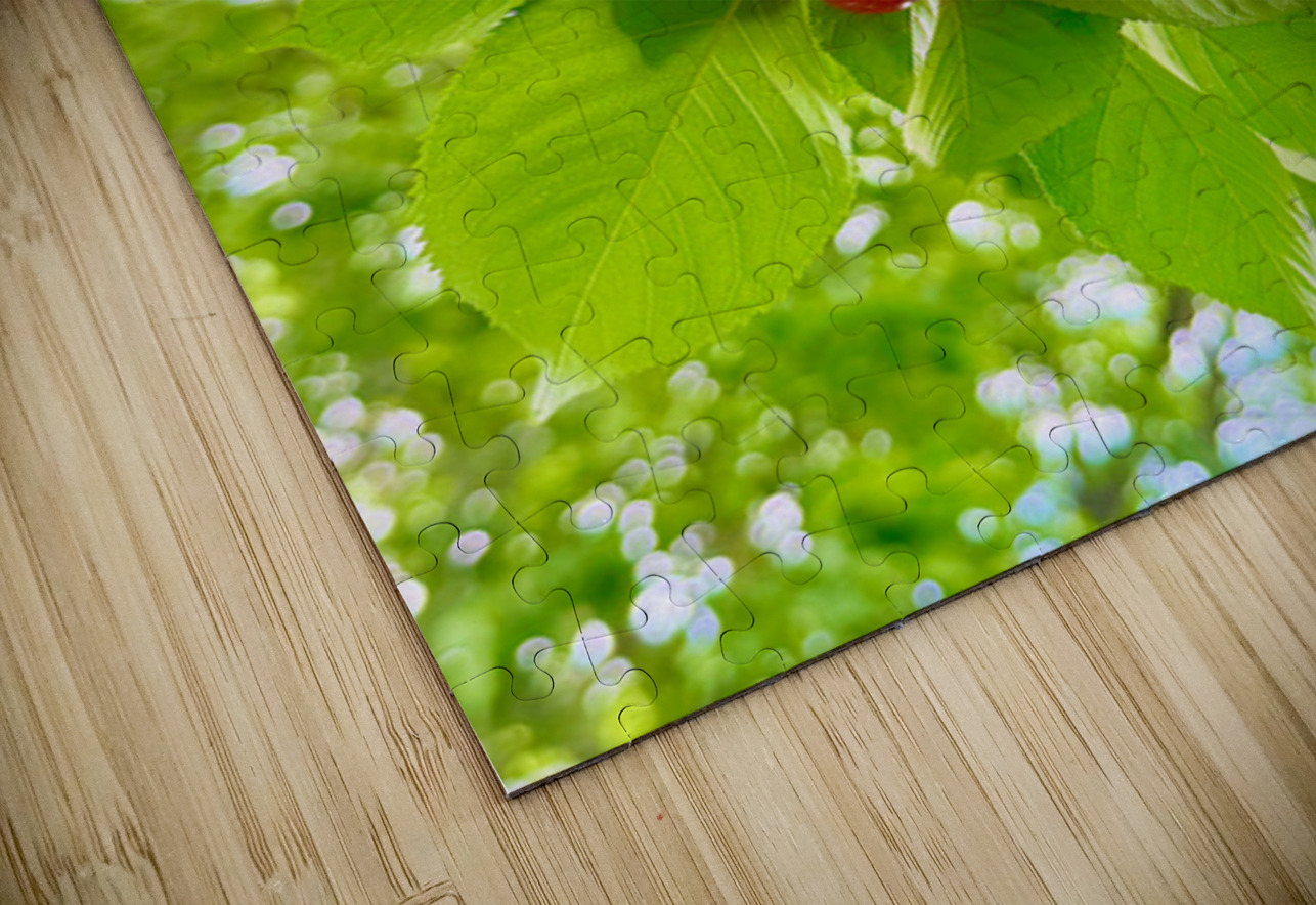 The Patience of Fruit: A Quiet Celebration Click4Pix Puzzle