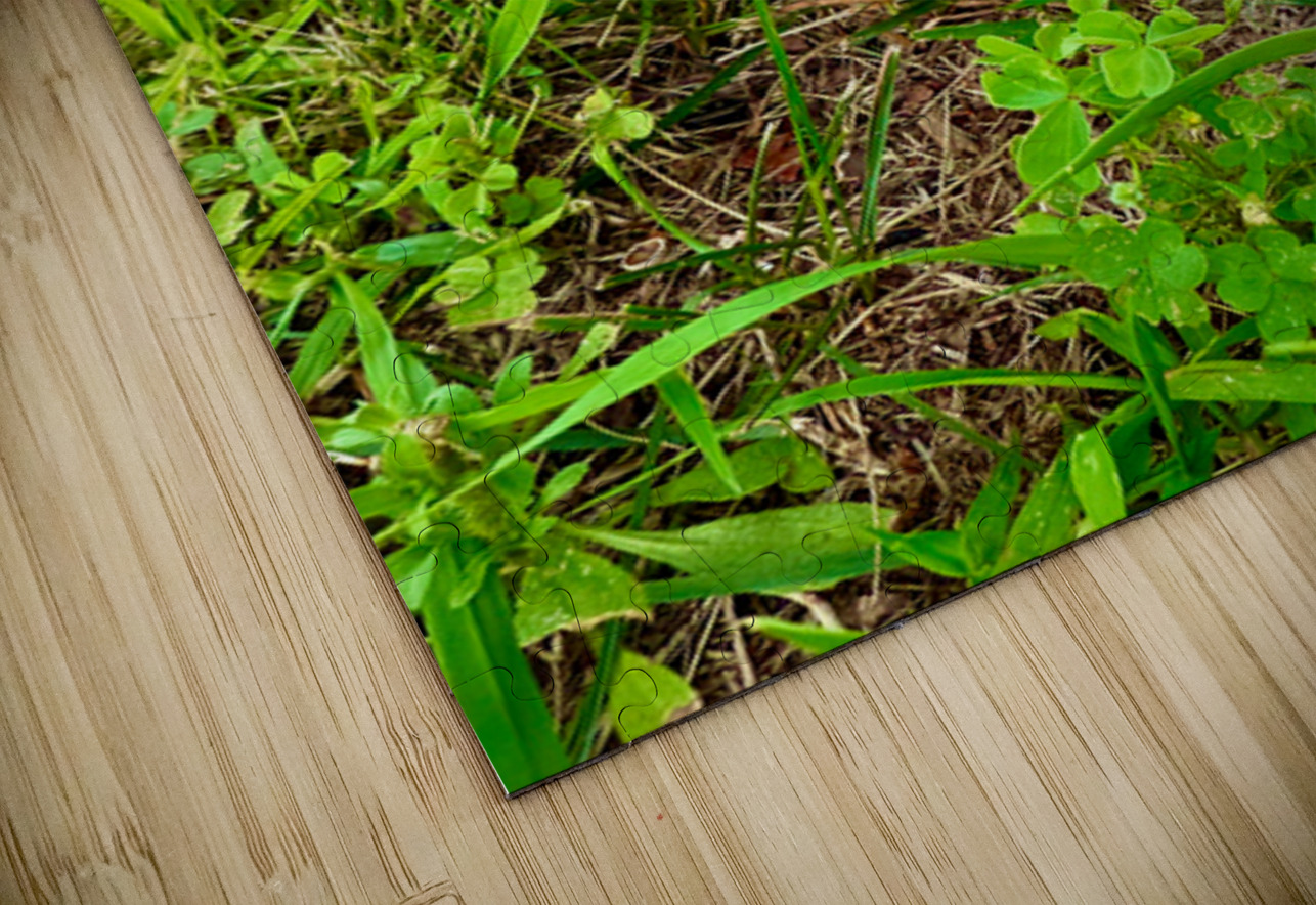 Crowned by the Earth Click4Pix Puzzle